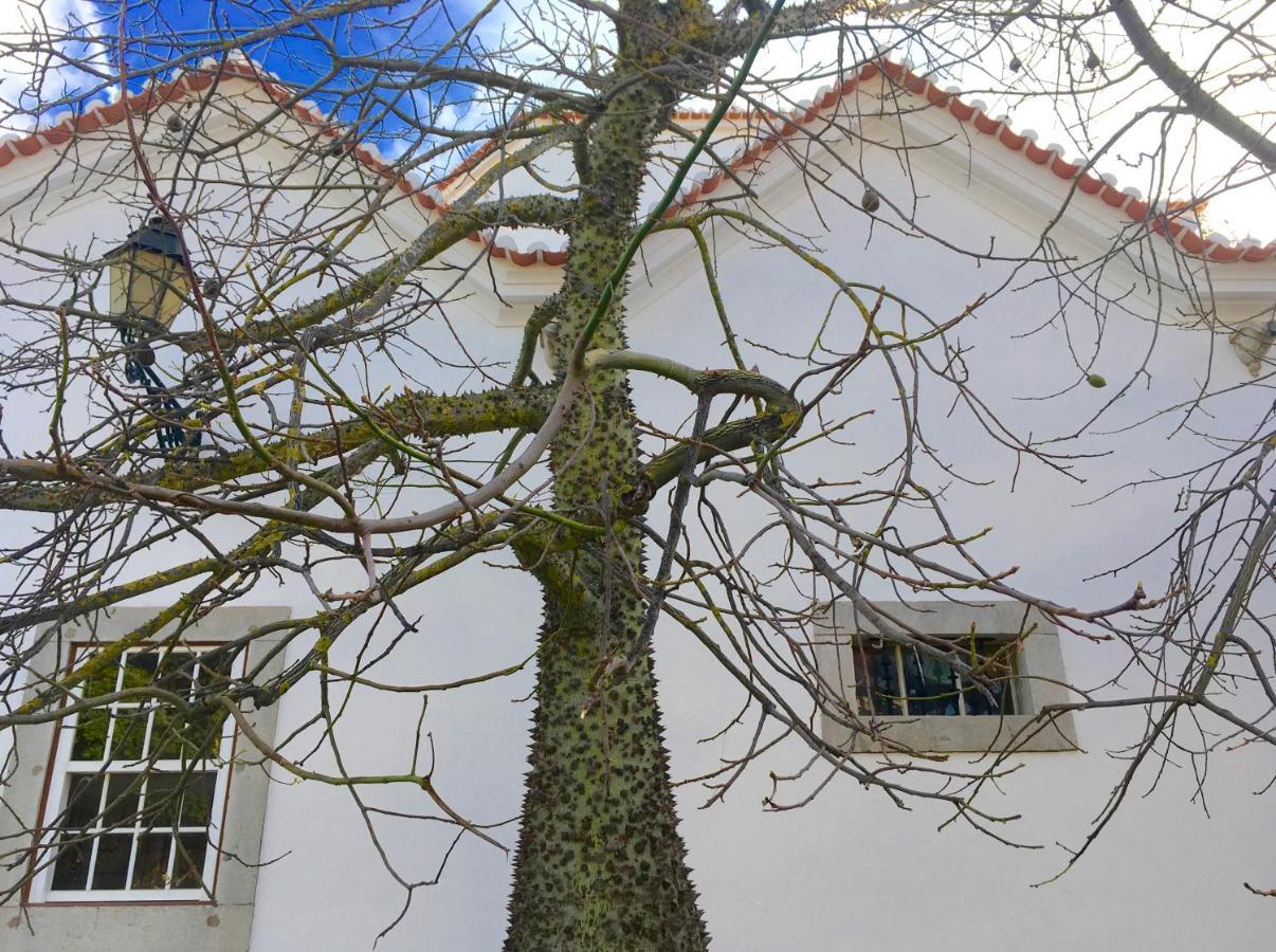 Ninho Salino Hotel Cascais Luaran gambar